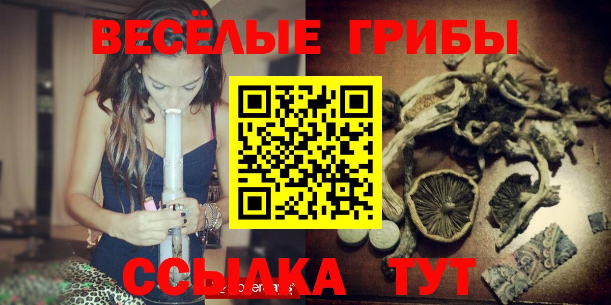 Псилоцибиновые грибы Cubensis Луга