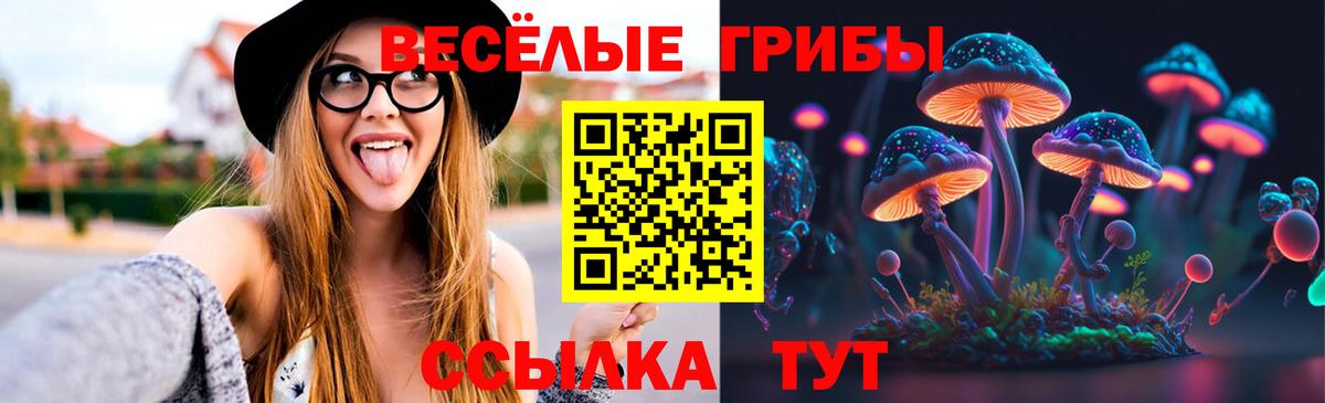 Псилоцибиновые грибы GOLDEN TEACHER  Вход с VPN  Луга 